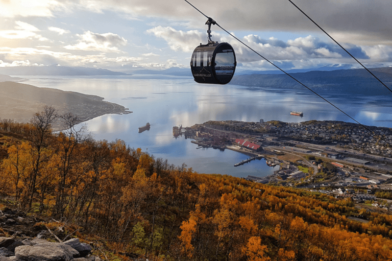 Narvik natur